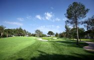 The Montgomerie Maxx Royal Golf Club's lovely golf course within dramatic Belek.