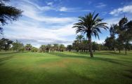 The Maspalomas Golf Course's scenic golf course in gorgeous Gran Canaria.