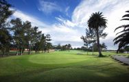 Maspalomas Golf Course includes some of the leading golf course around Gran Canaria