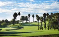 All The Real Club de Golf de Las Palmas's impressive golf course within brilliant Gran Canaria.