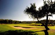 Son Muntaner Golf Course - Arabella Golf consists of lots of the finest golf course near Mallorca