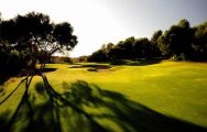Son Muntaner Golf Course - Arabella Golf consists of several of the best golf course in Mallorca