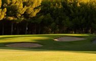 All The Real Golf de Bendinat's picturesque golf course within astounding Mallorca.
