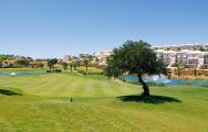 View Boavista Golf Club's lovely golf course within impressive Algarve.