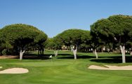 View Dom Pedro Pinhal Golf Course's beautiful golf course within gorgeous Algarve.