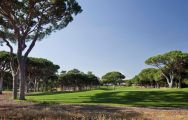 The Dom Pedro Pinhal Golf Course's impressive golf course in incredible Algarve.