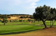 The Morgado Golf Course's beautiful golf course within staggering Algarve.