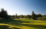 The Pestana Alto Golf  Country Club's lovely golf course in marvelous Algarve.
