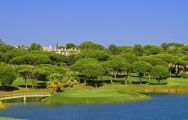 The Pinheiros Altos Golf Club's beautiful golf course within faultless Algarve.