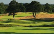All The East Sussex National Golf Club's lovely golf course in sensational Sussex.