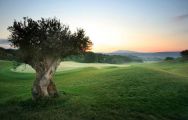 All The Costa Navarino - The Dunes Course's lovely golf course within striking Greece.