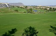 View Alenda Golf Course's picturesque golf course within vibrant Costa Blanca.