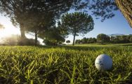 The Alenda Golf Course's lovely golf course situated in staggering Costa Blanca.
