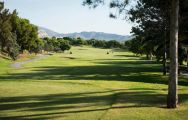 The Bonalba Golf Course's lovely golf course in pleasing Costa Blanca.