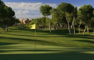 The Las Ramblas Golf Course's impressive golf course situated in vibrant Costa Blanca.
