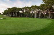 The Villamartin Golf Course's impressive golf course situated in amazing Costa Blanca.