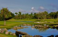 The Cocotal Golf and Country Club's impressive green situated in magnificent Dominican Republic.