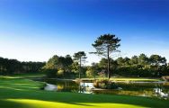 Golf de Chiberta has among the most excellent golf course around South-West France