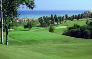 The Dona Julia Golf  Club's lovely golf course within magnificent Costa Del Sol.