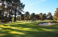 The Ferndown Golf Club's picturesque golf course in pleasing Devon.
