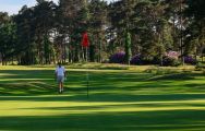 View Ferndown Golf Club's picturesque golf course situated in incredible Devon.