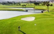 View Fuerteventura Golf Club's beautiful golf course within stunning Fuerteventura.