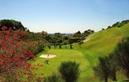 View Los Flamingos Golf Course's picturesque golf course within dazzling Costa Del Sol.