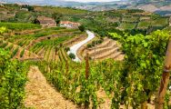 The Douro Valley where Porto makes its famous Port wine
