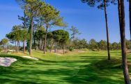 Troia Golf's impressive golf course in sensational Lisbon.