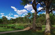 Innisbrook Golf offers among the top golf course within Florida