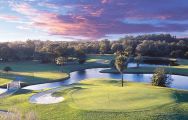 All The Innisbrook Golf's lovely golf course situated in dazzling Florida.