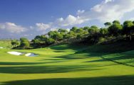 View Kaya Palazzo Golf Club's picturesque golf course within amazing Belek.