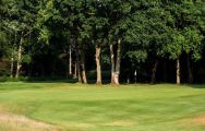 Ashridge Golf Club features several of the top golf course near Hertfordshire