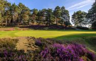 The Sunningdale Golf Club's beautiful golf course in magnificent Surrey.