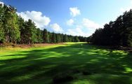 Sunningdale Golf Club consists of several of the best golf course within Surrey