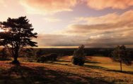 Royal Ashdown Forest Golf Club carries several of the most excellent golf course in Sussex