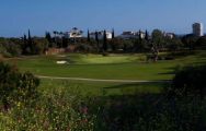 Marbella Golf and Country Club has among the most excellent golf course around Costa Del Sol