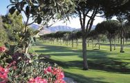 Rio Real Golf Club consists of lots of the most excellent golf course near Costa Del Sol