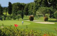 All The Rio Real Golf Club's lovely golf course in pleasing Costa Del Sol.