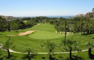 All The Torrequebrada Golf Club,'s beautiful golf course within pleasing Costa Del Sol.