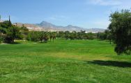 The Hotel Bonalba Alicante's lovely golf course situated in vibrant Costa Blanca.