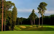 The Woburn Golf Club's impressive golf course within astounding Buckinghamshire.