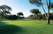 Cornelia Golf Club carries among the premiere golf course around Belek