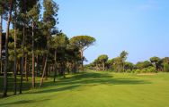 View Gloria New Golf Course's impressive golf course within incredible Belek.