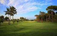 All The Gloria New Golf Course's lovely golf course in sensational Belek.