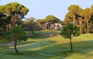 View Gloria New Golf Course's scenic golf course within amazing Belek.