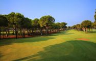 Gloria Verde Golf Course has got several of the preferred golf course around Belek