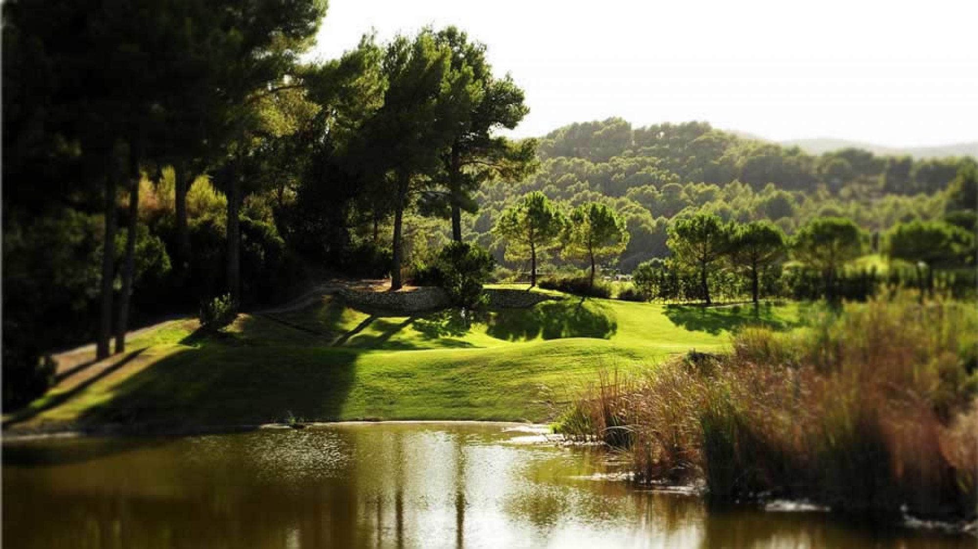 Son Muntaner Golf Course - Arabella Golf features some of the preferred golf course near Mallorca