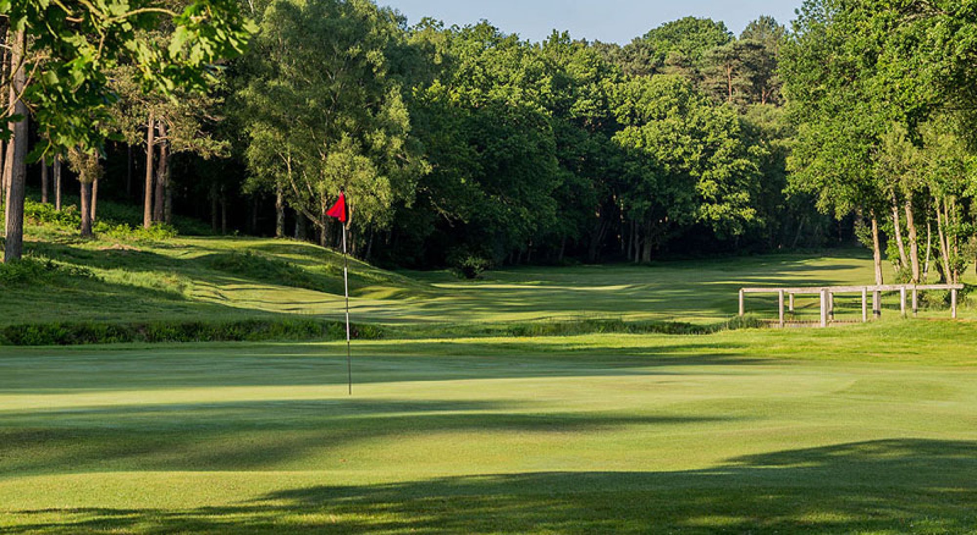 Royal Ashdown Forest Golf Club consists of lots of the leading golf course around Sussex