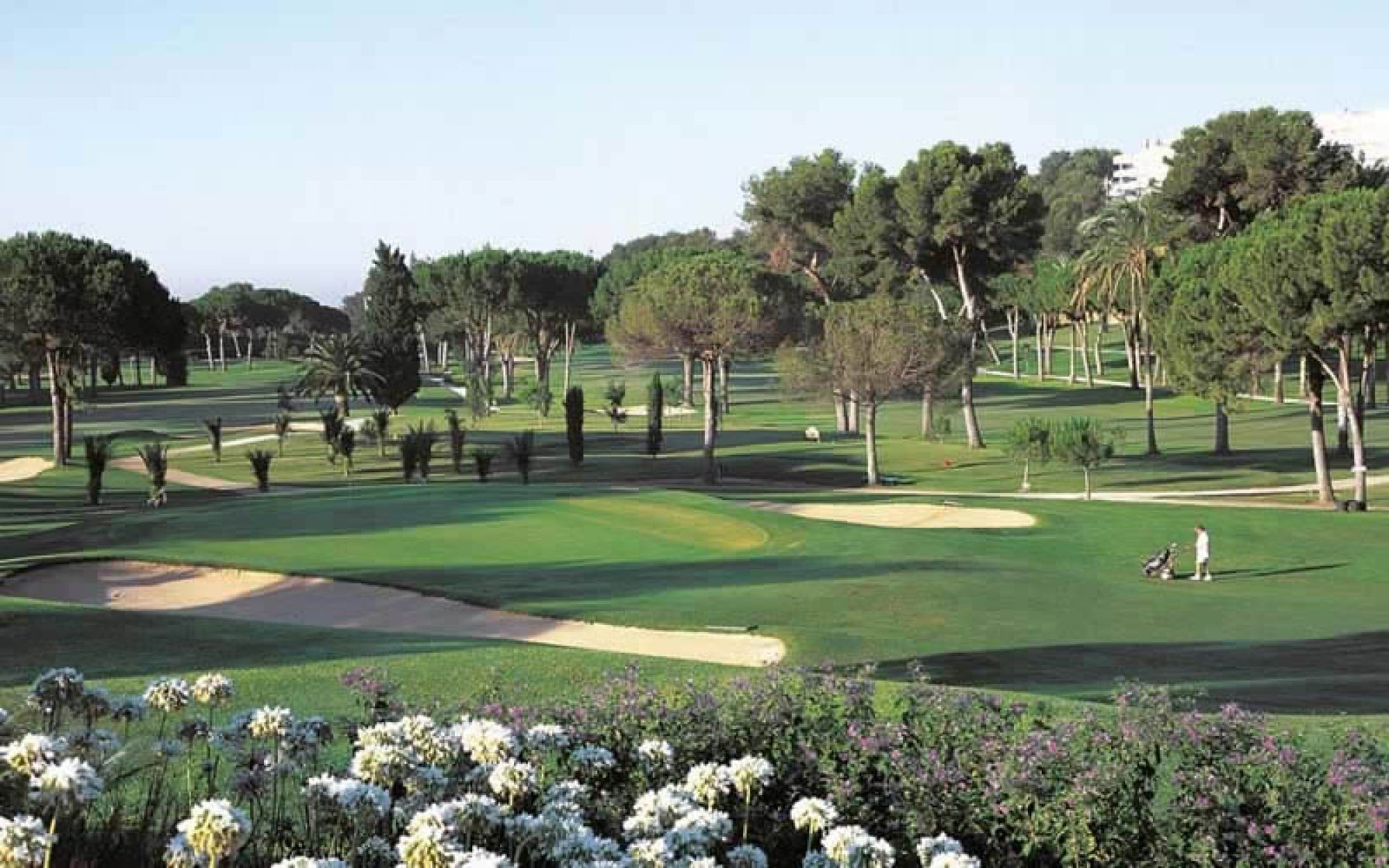 Rio Real Golf Club consists of among the preferred golf course around Costa Del Sol